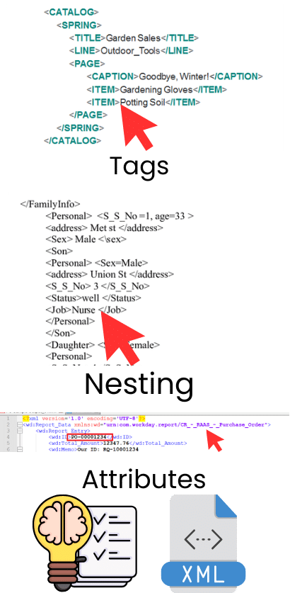 What is the XML Syntax or Structure?